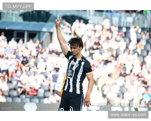 尼斯1-1平里昂,中游球队闷战各取一分 尼斯1-1平里昂,中游球队闷战各取一分